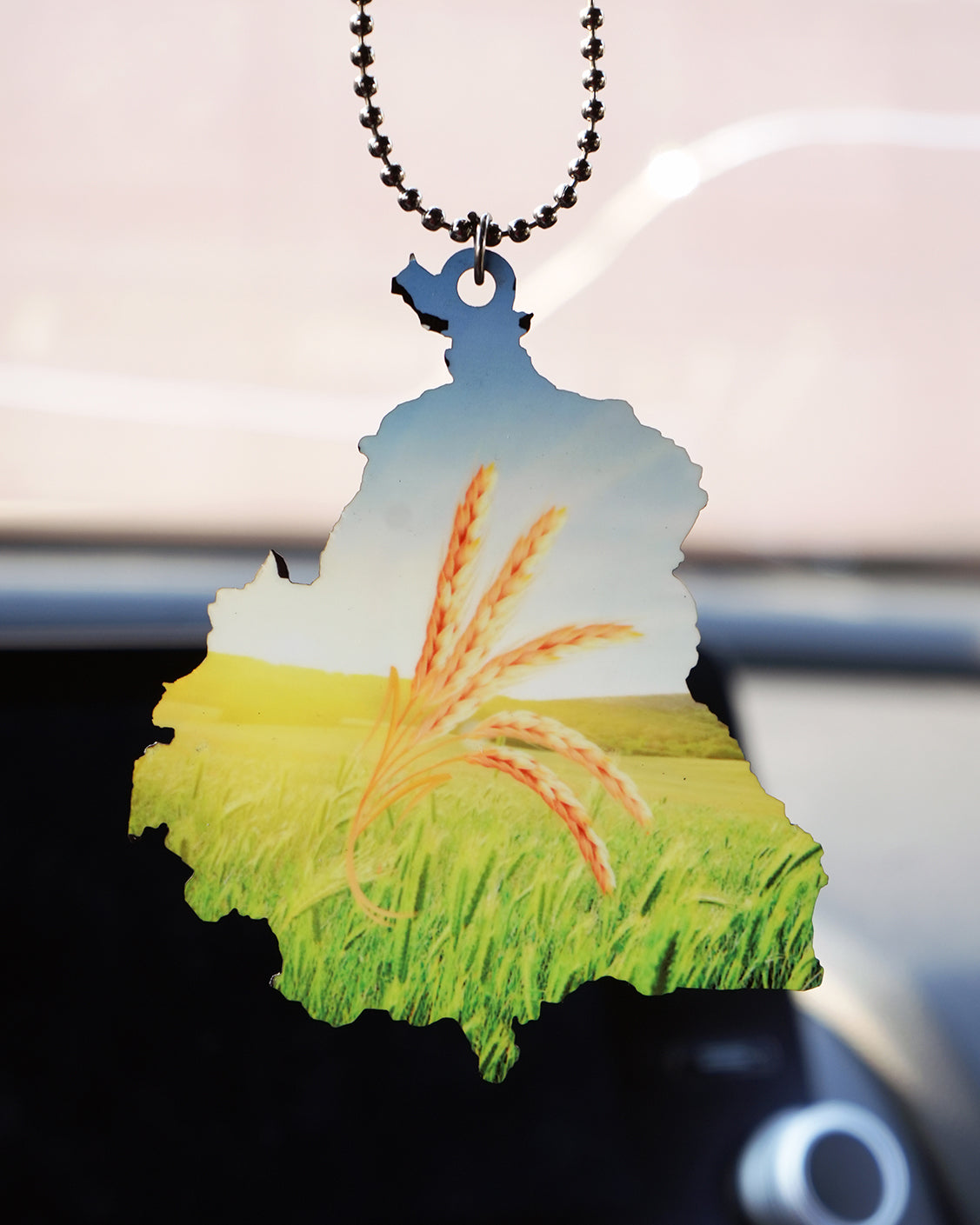 Punjab Map car hanging