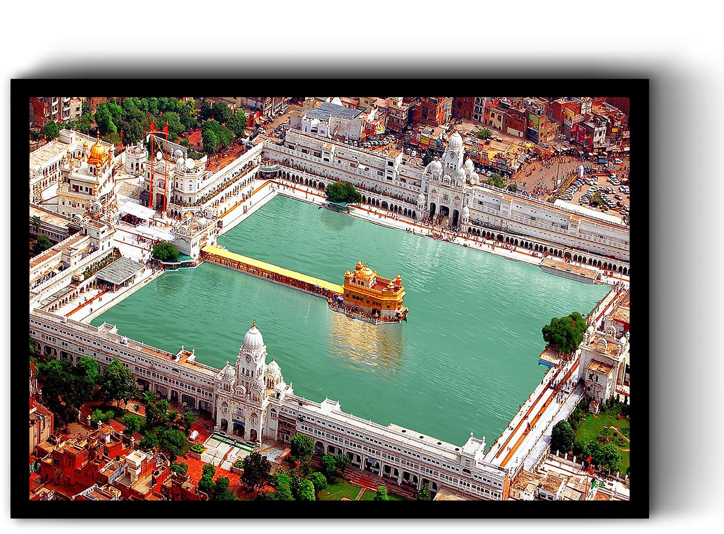 Golden Temple Portrait